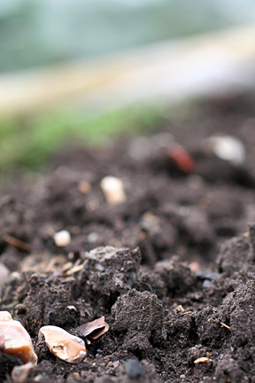 Close up of clay soil pit.