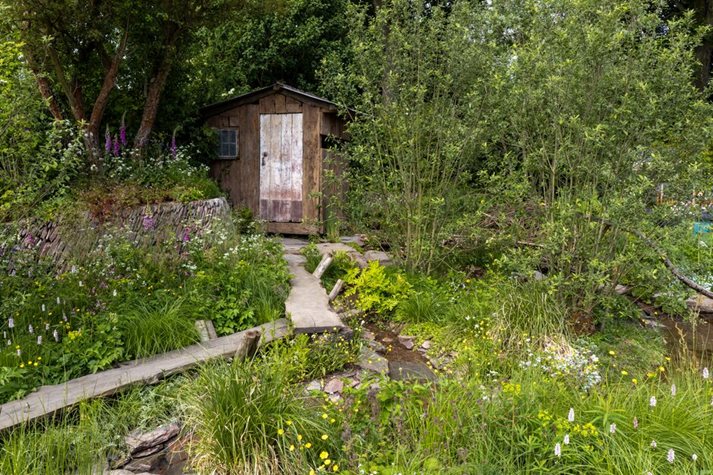 A Rewilding Britain Landscape at RHS Chelsea 2022