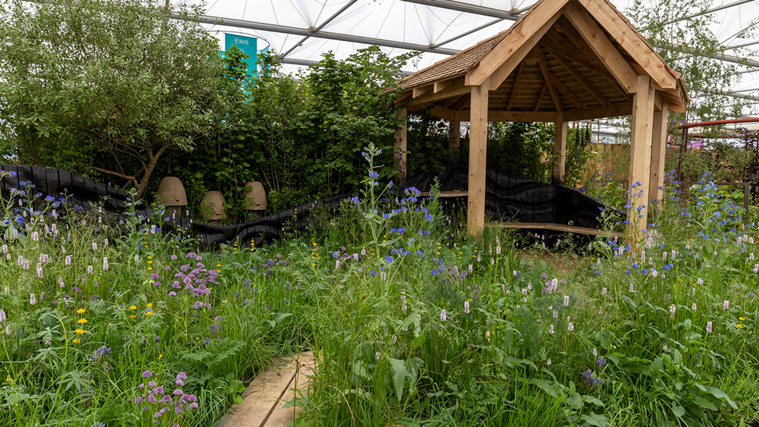 Bowel Research UK Microbiome Garden