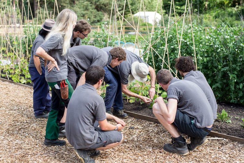 Trainer at Wisley