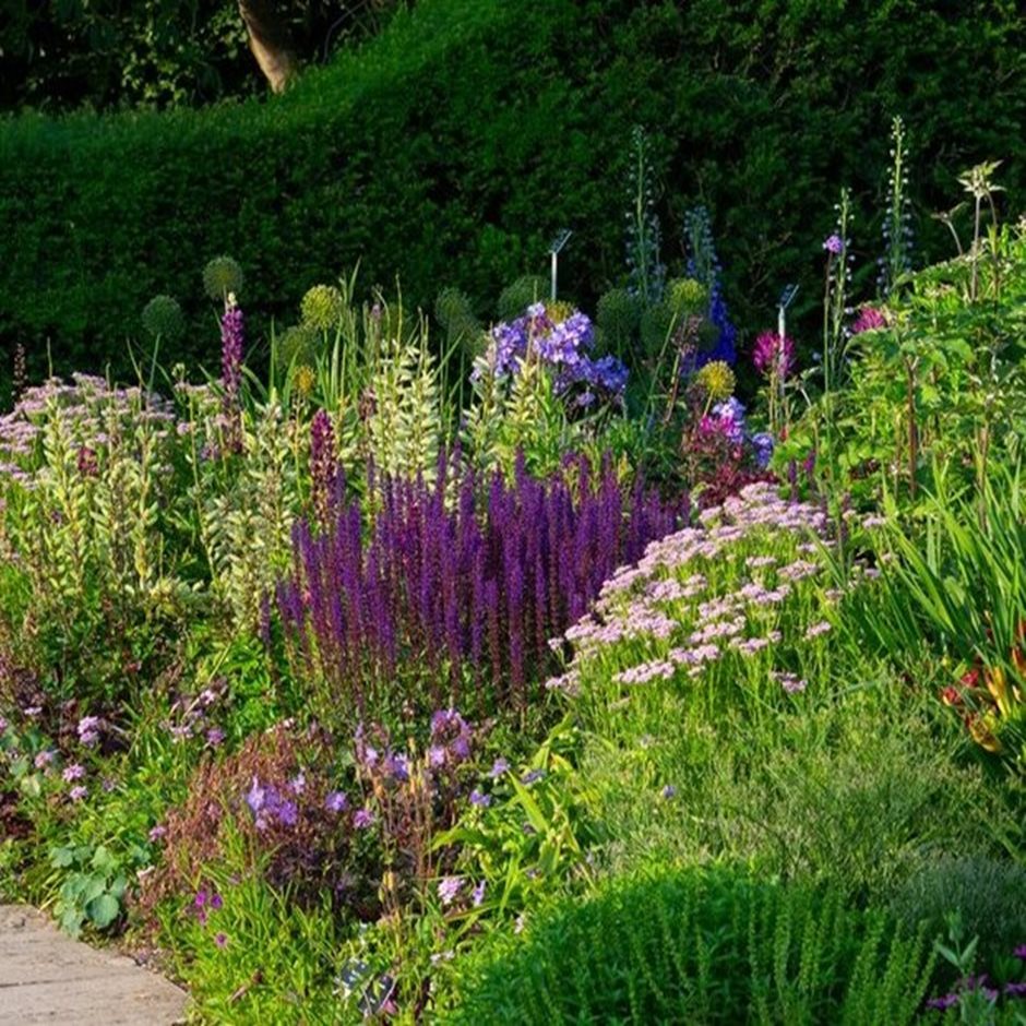 Many flowers thrive in a chalky soil