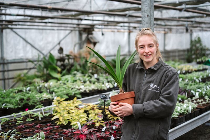 Apprentice at work in Harlow Carr