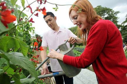 Vegetables: watering