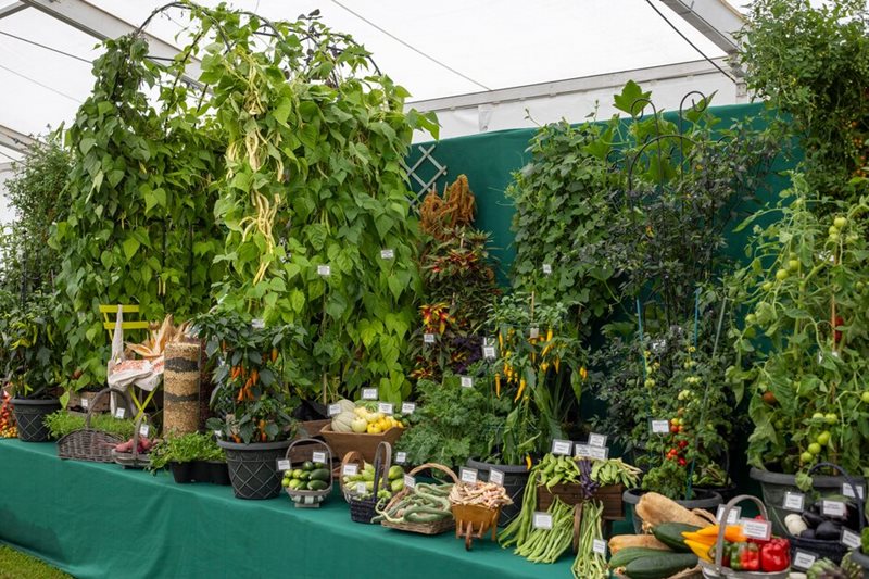 Close up of Robinson Seeds & Plants display