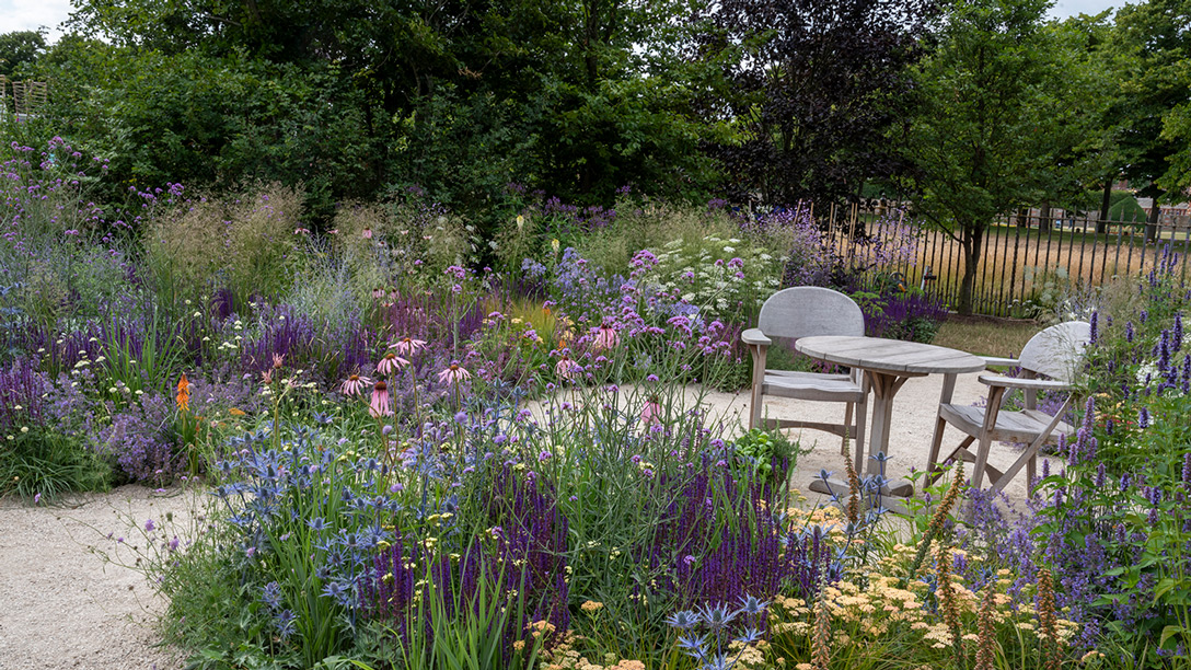 RHS Iconic Horticultural Hero Garden