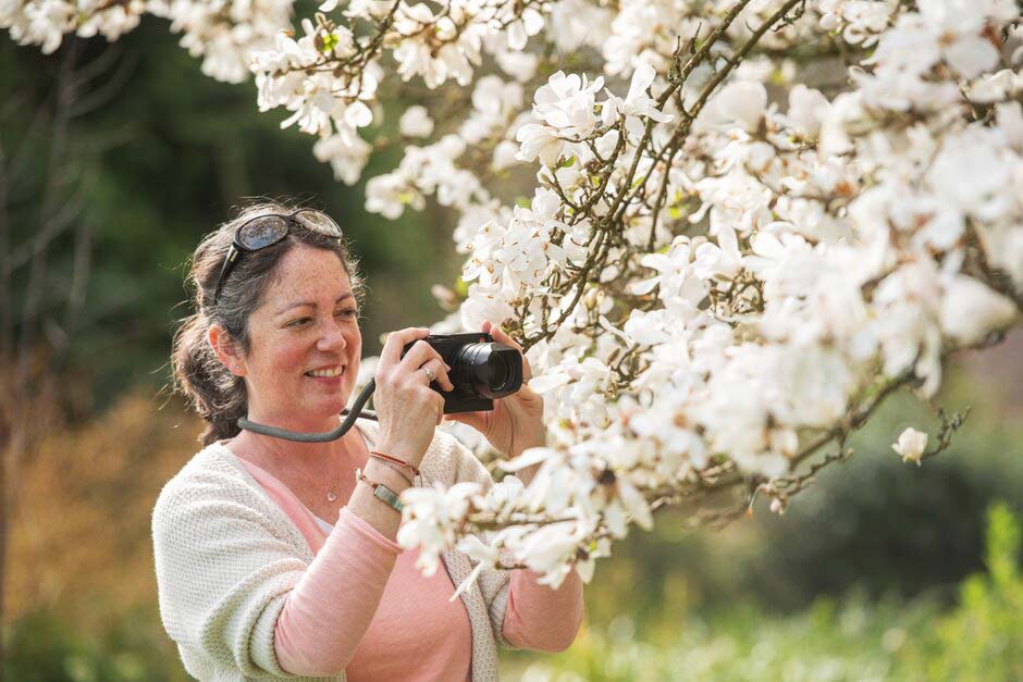 Plant photography