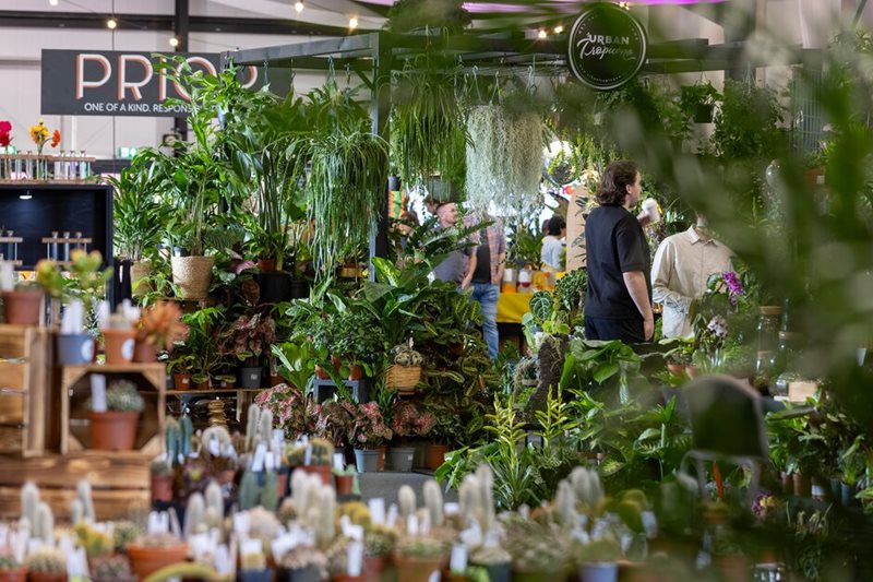 Shoppers buying houseplants