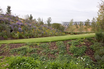 Steep bank and slope