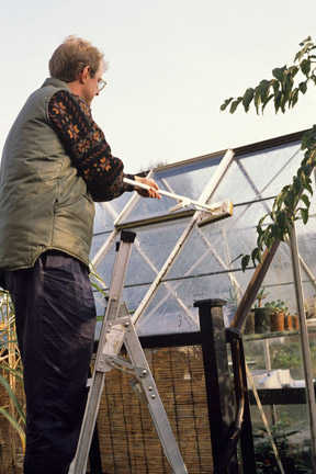 Greenhouse cleaning