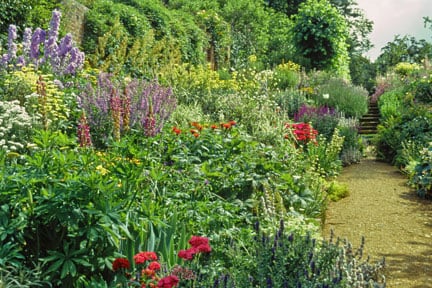 Benington Lordship herbaceous border