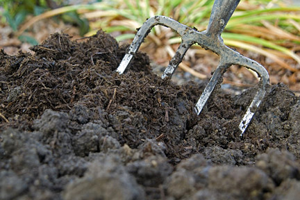 Adding mushroom compost to garden borders at RHS Wisley. Image: Tim Sandall/RHS