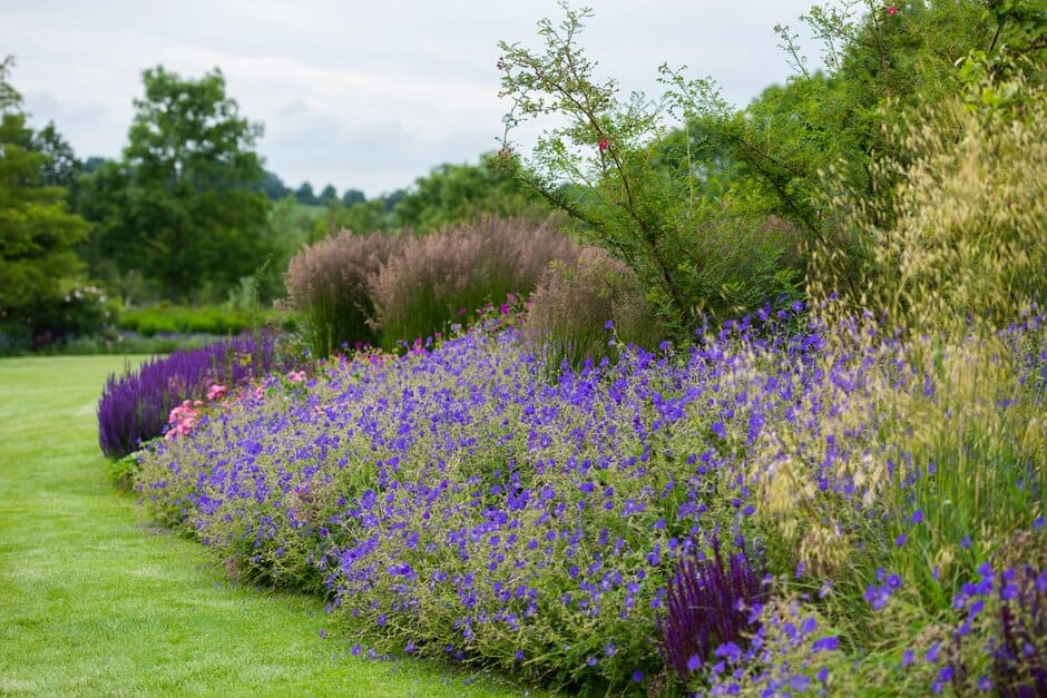 Shrubs, long-flowering perennials and seedheads of ornamental grasses provide interest through the seasons