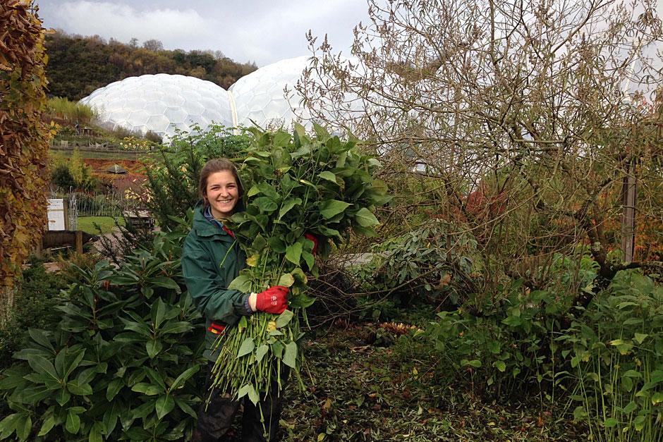 &ldquo;Each one of my placements has been unique and surpassed my expectations for what I thought I could learn.&rdquo;Molly Hendry