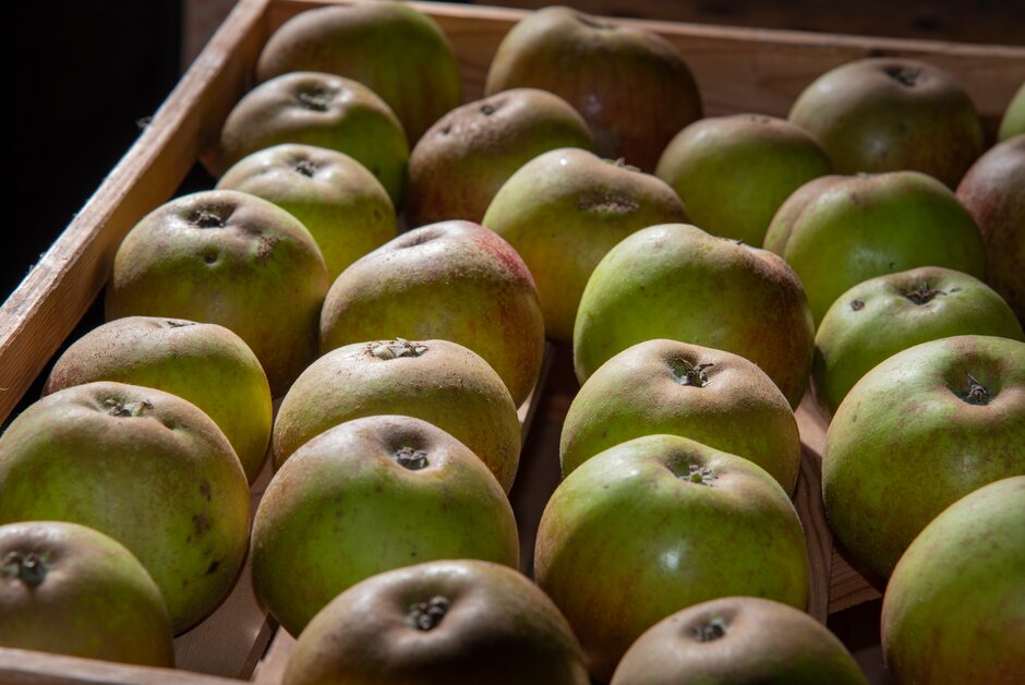 Stored apples