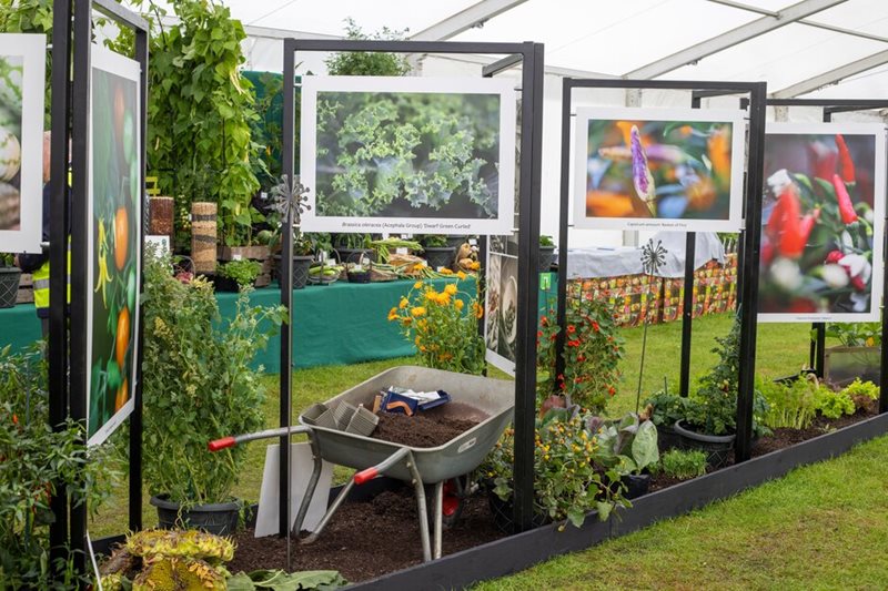 Robinson Seeds & Plants photo display